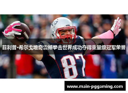 菲利普·希尔戈维奇震撼拳击世界成功夺得重量级冠军荣誉