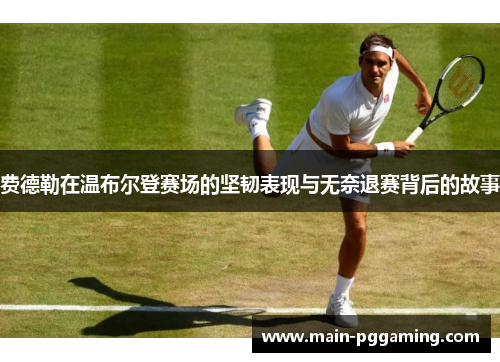 费德勒在温布尔登赛场的坚韧表现与无奈退赛背后的故事