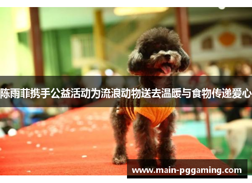 陈雨菲携手公益活动为流浪动物送去温暖与食物传递爱心
