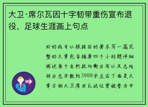 大卫·席尔瓦因十字韧带重伤宣布退役，足球生涯画上句点